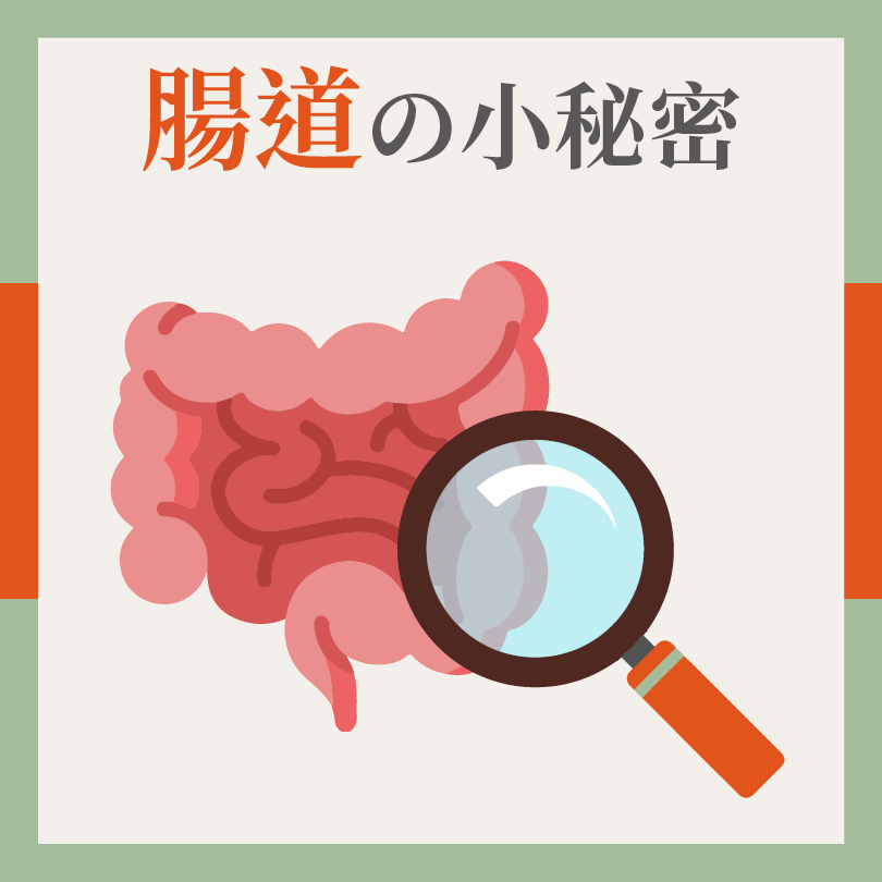 IG腸道小秘密1